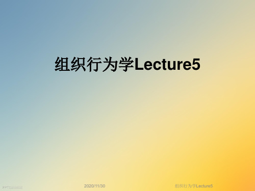 组织行为学Lecture5