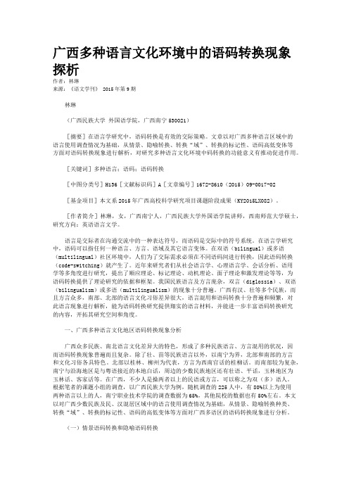 广西多种语言文化环境中的语码转换现象探析