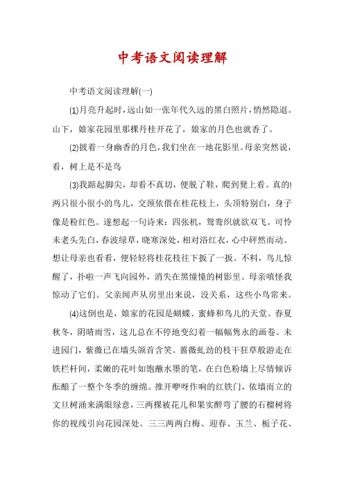 中考语文阅读理解