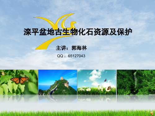 滦平古生物化石资源及保护