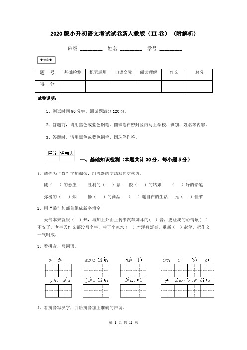 2020版小升初语文考试试卷新人教版(II卷) (附解析)