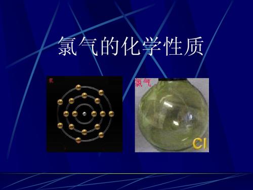 高一化学+必修一+苏教版+氯气的化学性质 (2)