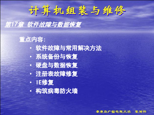 软件故障与数据恢复(精)