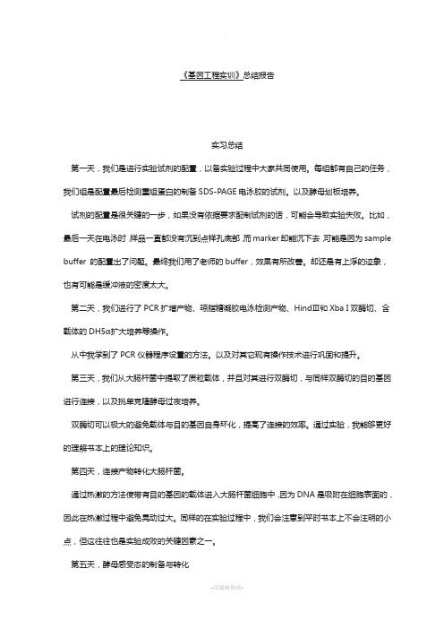 基因工程实训总结
