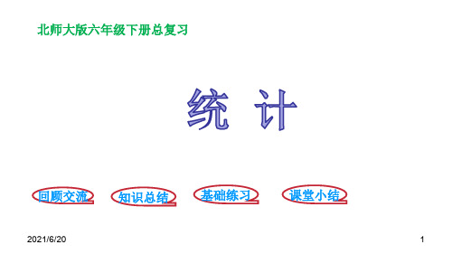 北师大版六年级下册数学总复习总复习-统计与概率-统计 (共20张PPT)