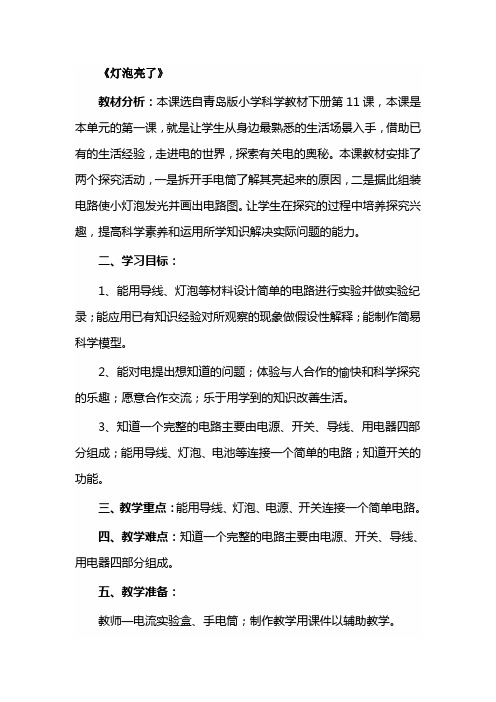 小学科学三年级下册《灯泡亮了》教学设计 (2)