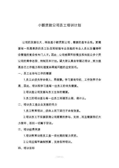 小额贷款公司员工培训计划