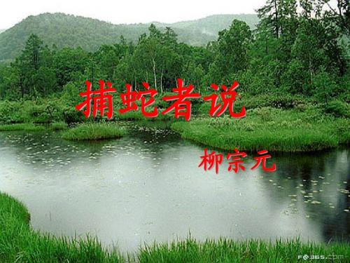 《捕蛇者说》ppt1