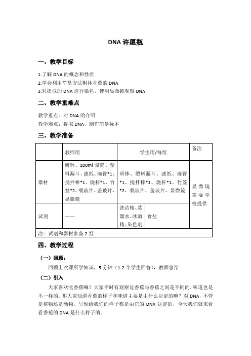 有趣的科学实验：提取DNA