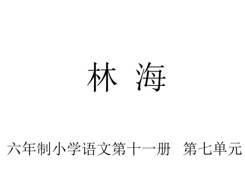 六年级语文林海1[人教版]-P