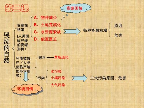 教科版思品八下第一单元《自然的声音》ppt复习课件