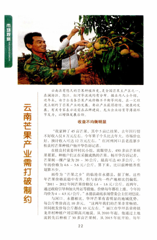 云南芒果产业需打破制约