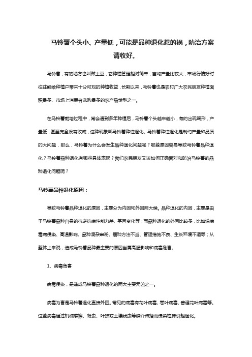 马铃薯品种退化827