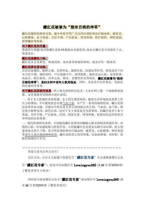 藏红花被誉为“能治百病的神草”