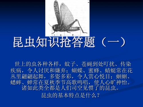 昆虫知识抢答题