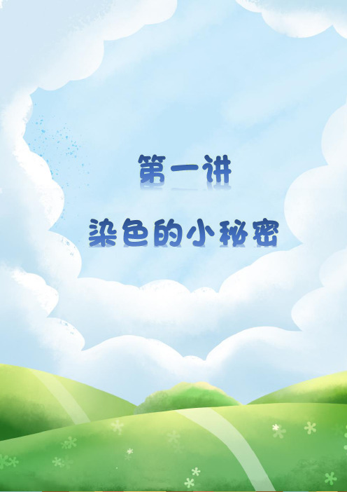 二年级下册数学思维拓展：第一讲 染色问题