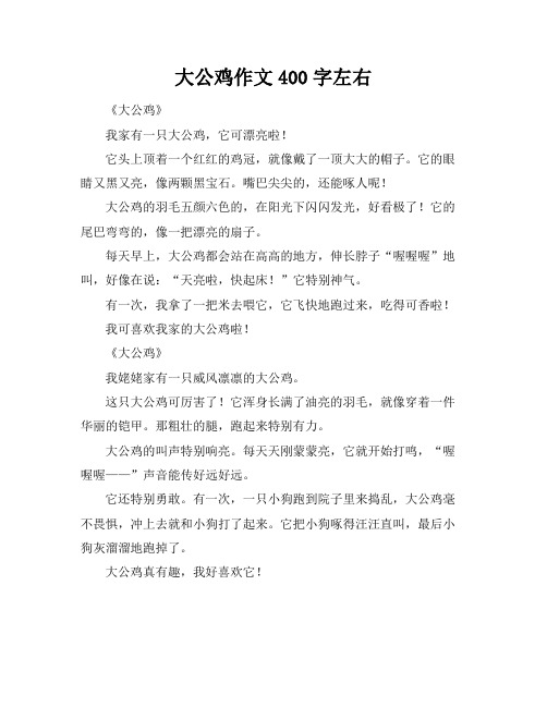 大公鸡作文400字左右