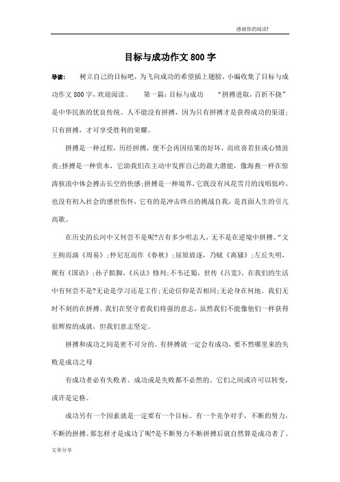 目标与成功作文800字
