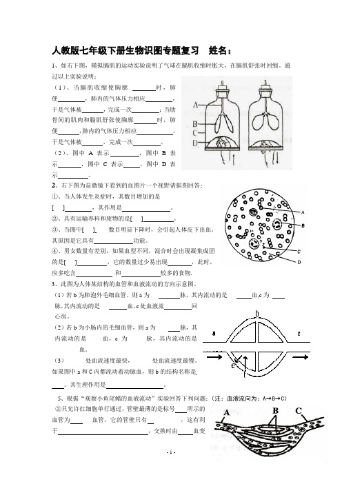 人教版七年级下册生物识图专题复习