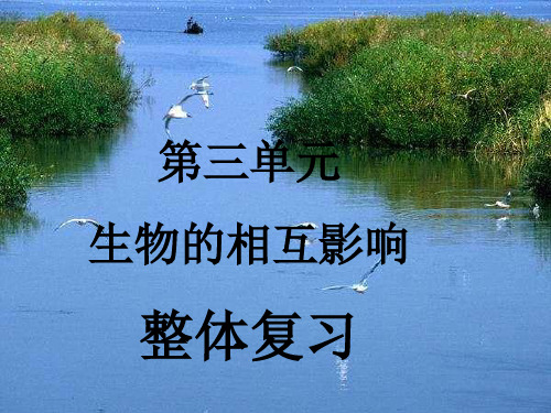 冀教新版小学科学三年级下册第三单元《生物的相互影响》整体复习