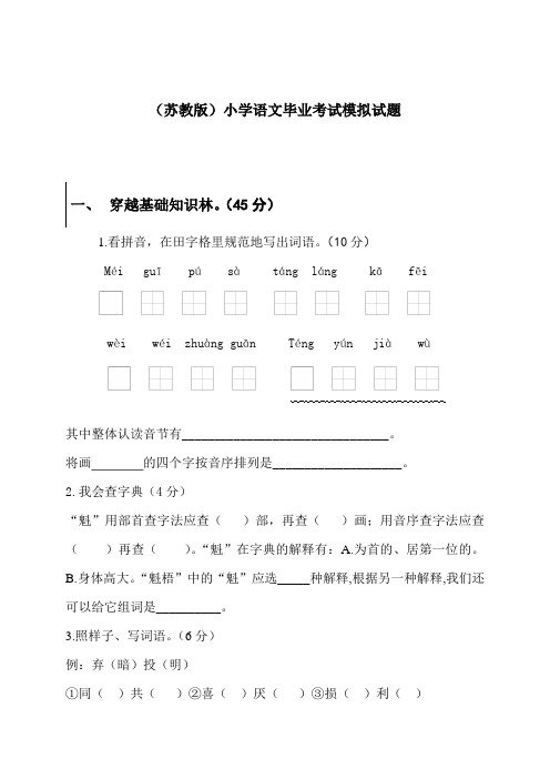 (苏教版)小学语文毕业考试模拟试题