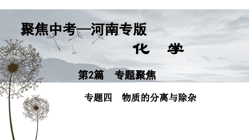 物质的分离与除杂PPT课件
