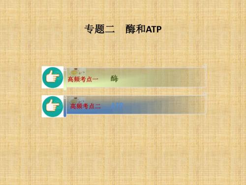 新高考高考生物二轮复习 专题2 酶和ATP名师精编课件