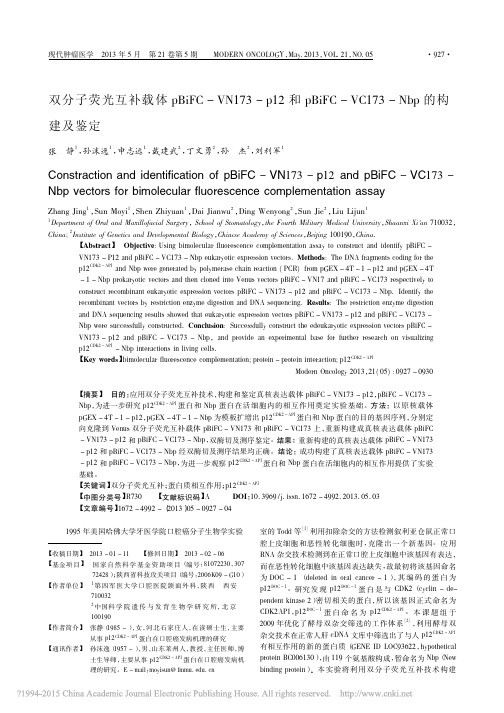 双分子荧光互补载体pBiFC_VC173_Nbp的构建及鉴定