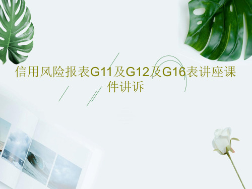 信用风险报表G11及G12及G16表讲座课件讲诉65页PPT