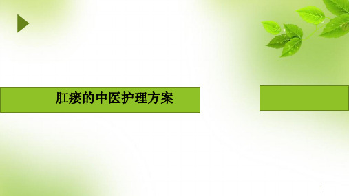 肛瘘的中医护理方案PPT课件
