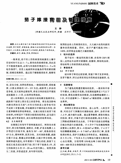 茄子嫁接育苗及管理措施