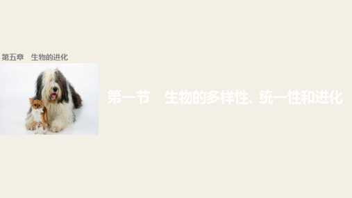 2018学年高中生物浙科版必修二配套课件：第五章 生物的进化 第一节
