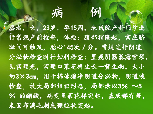 妊娠合并尖锐湿疣护理查房PPT课件
