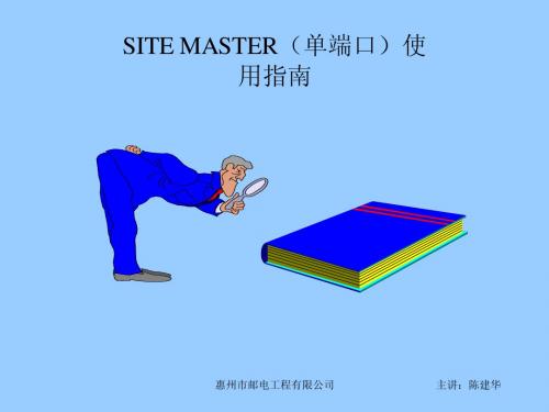 Sitemaster(单端口)使用指南