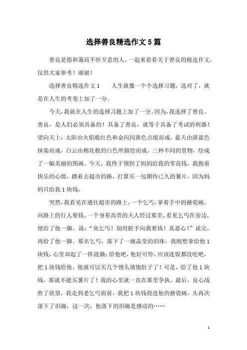 选择善良精选作文5篇
