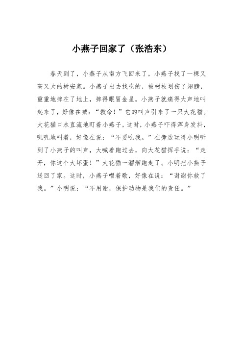 小学二年级作文：小燕子回家了(张浩东)