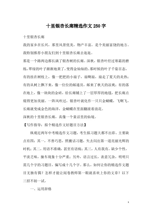 十里银杏长廊精选作文250字
