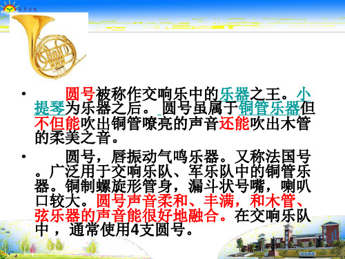 圆号、小提琴乐器介绍)