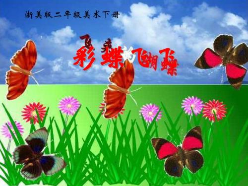 《彩蝶飞飞》PPT课件