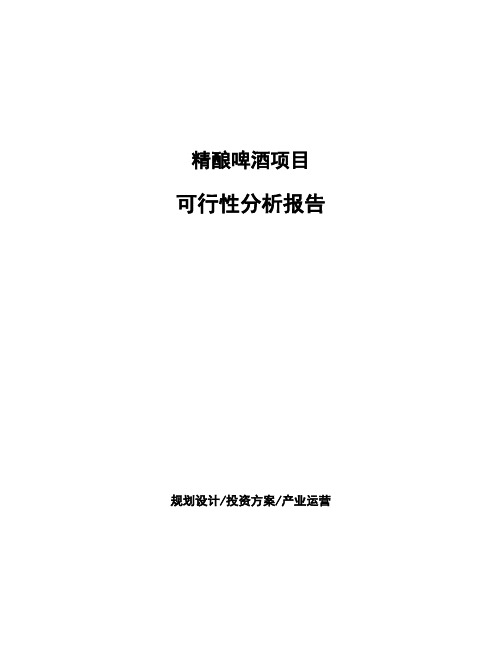 精酿啤酒项目可行性分析报告