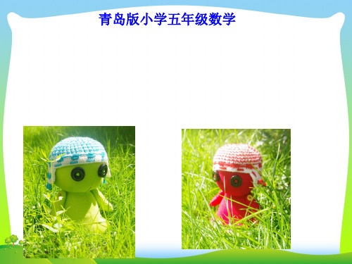 【新】青岛版 六年级数学上册《分数除以整数》精品课件.ppt