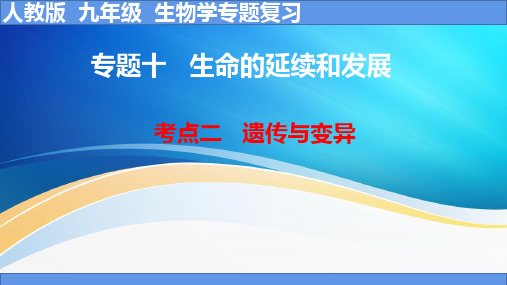 考点 遗传与变异 2023年中考生物一轮复习精讲课件