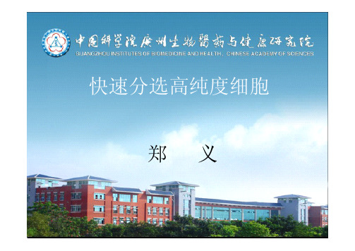 快速分选高纯度细胞(流式细胞术)