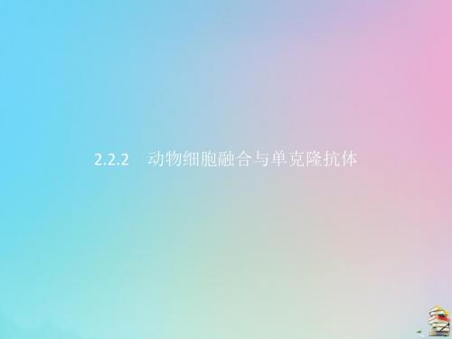 2019_2020学年高中生物2.2.2动物细胞融合与单克隆抗体课件新人教版选修3