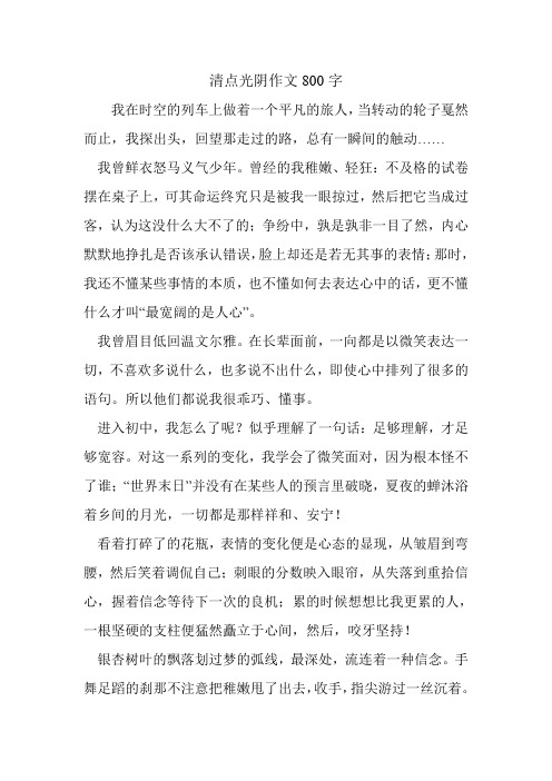 清点光阴作文800字