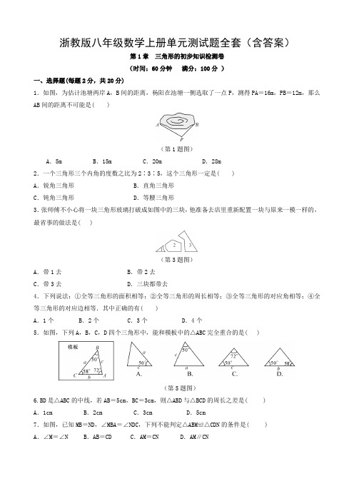 浙教版八年级数学上册单元测试题全套(含答案)