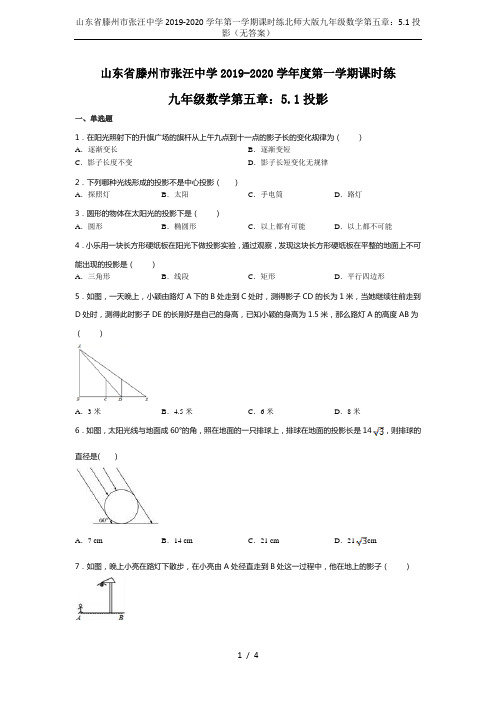 山东省滕州市张汪中学2019-2020学年第一学期课时练北师大版九年级数学第五章：5.1投影(无答案