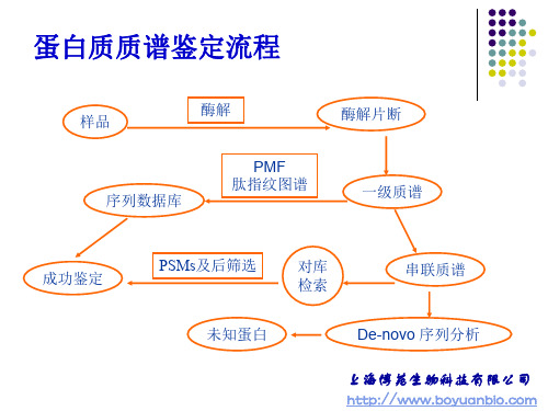 肽指纹图谱PMF鉴定