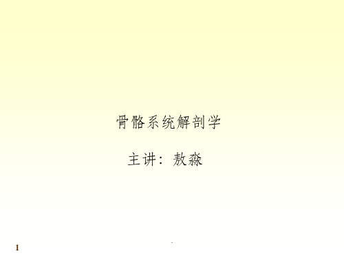 系统解剖学-肌肉PPT课件