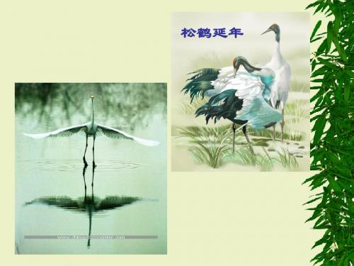 鹤群PPT4 语文版 (共12张PPT)